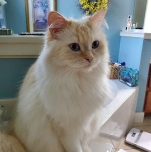 Meet your Posher, Beverly